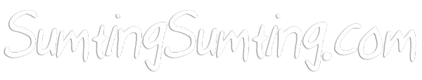 SumtingSumtingcomLogoWhite.png